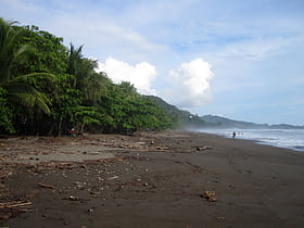 playa dominical