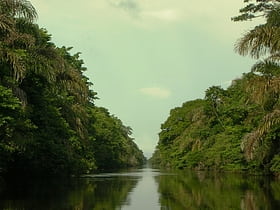 Manglares de Río Negro-Río San Sol