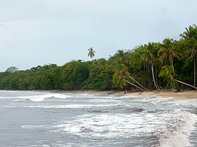 Park Narodowy Cahuita