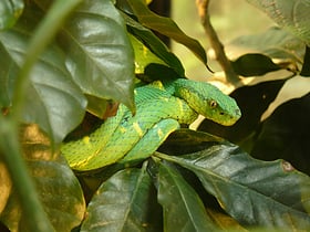 Serpentario de Monteverde