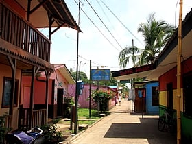 tortuguero