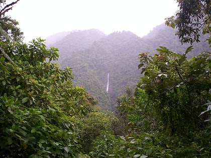 parque nacional tapanti