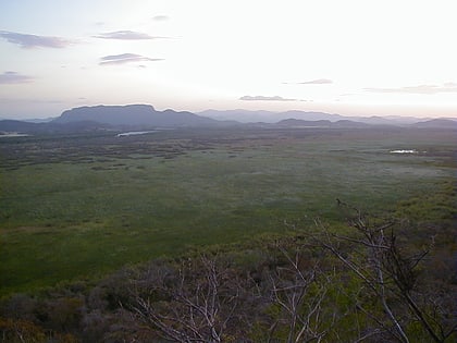 Parque nacional Palo Verde