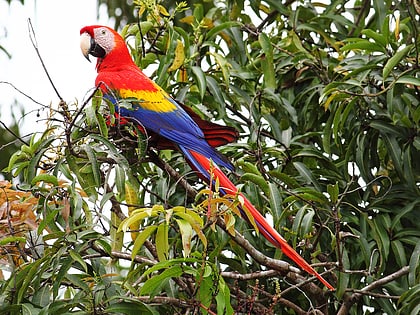 Parque nacional Carara