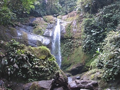 volio waterfall cahuita