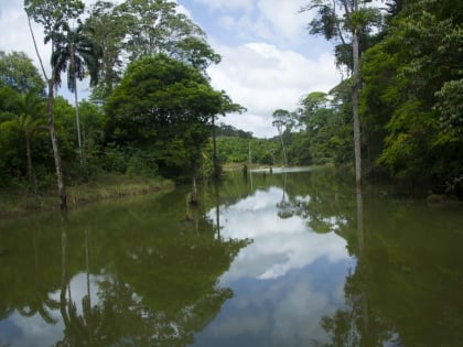 maquenque national park