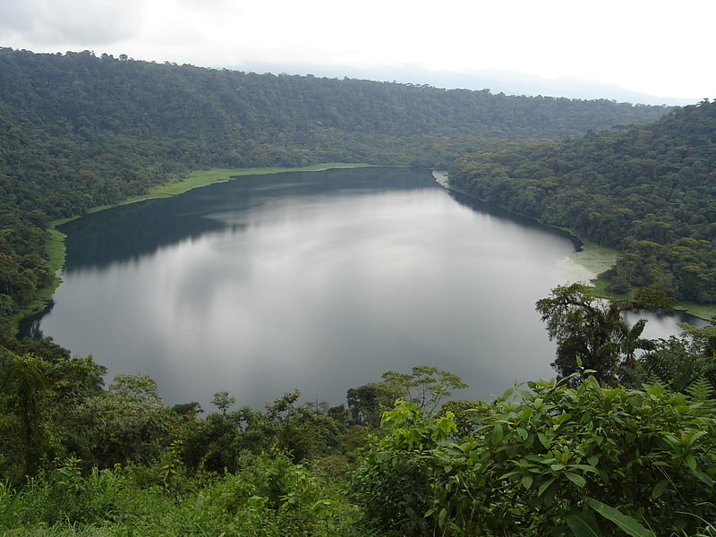 laguna de hule bosque alegre wildlife refuge