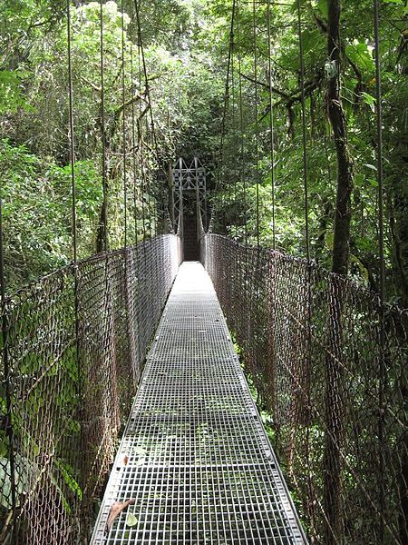 Arenal Hanging Bridges