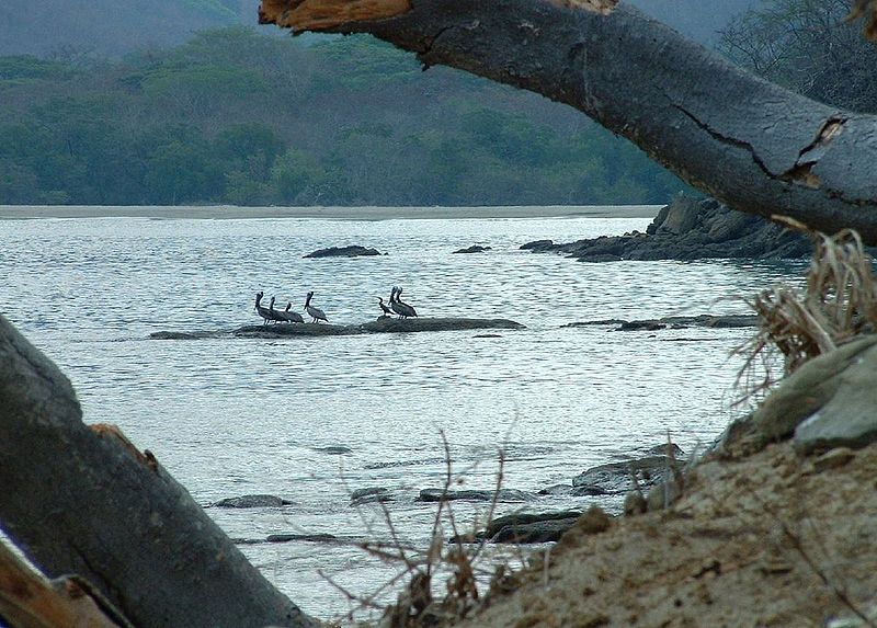 Junquillal Bay Wildlife Refuge