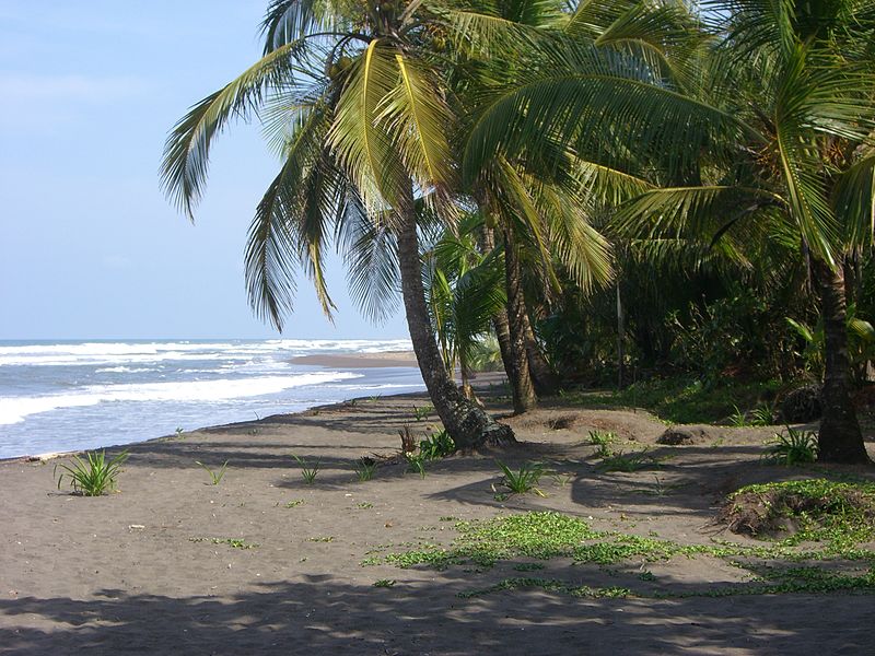 Tortuguero