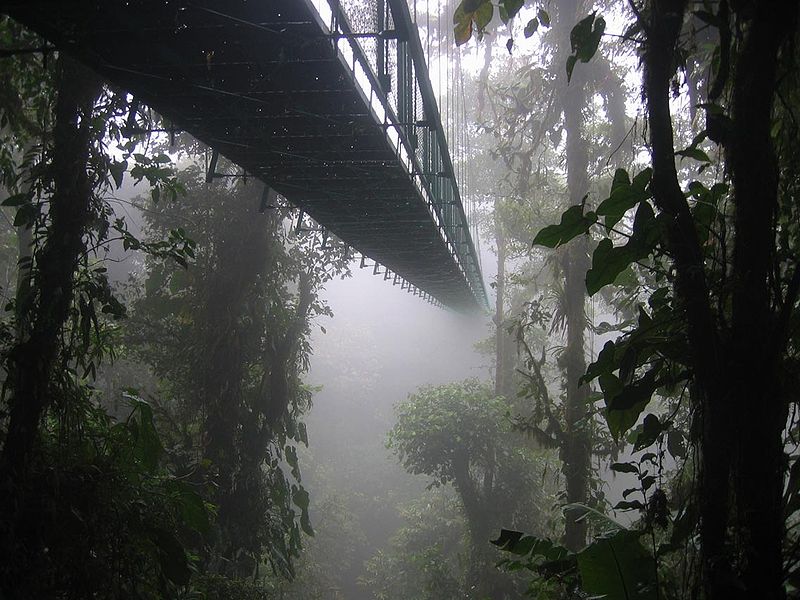 Monteverde