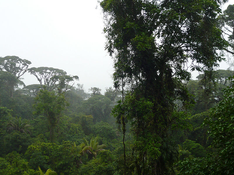 Parc national Braulio Carrillo