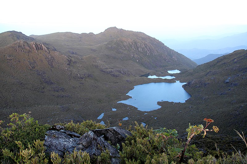 Cerro Chirripó