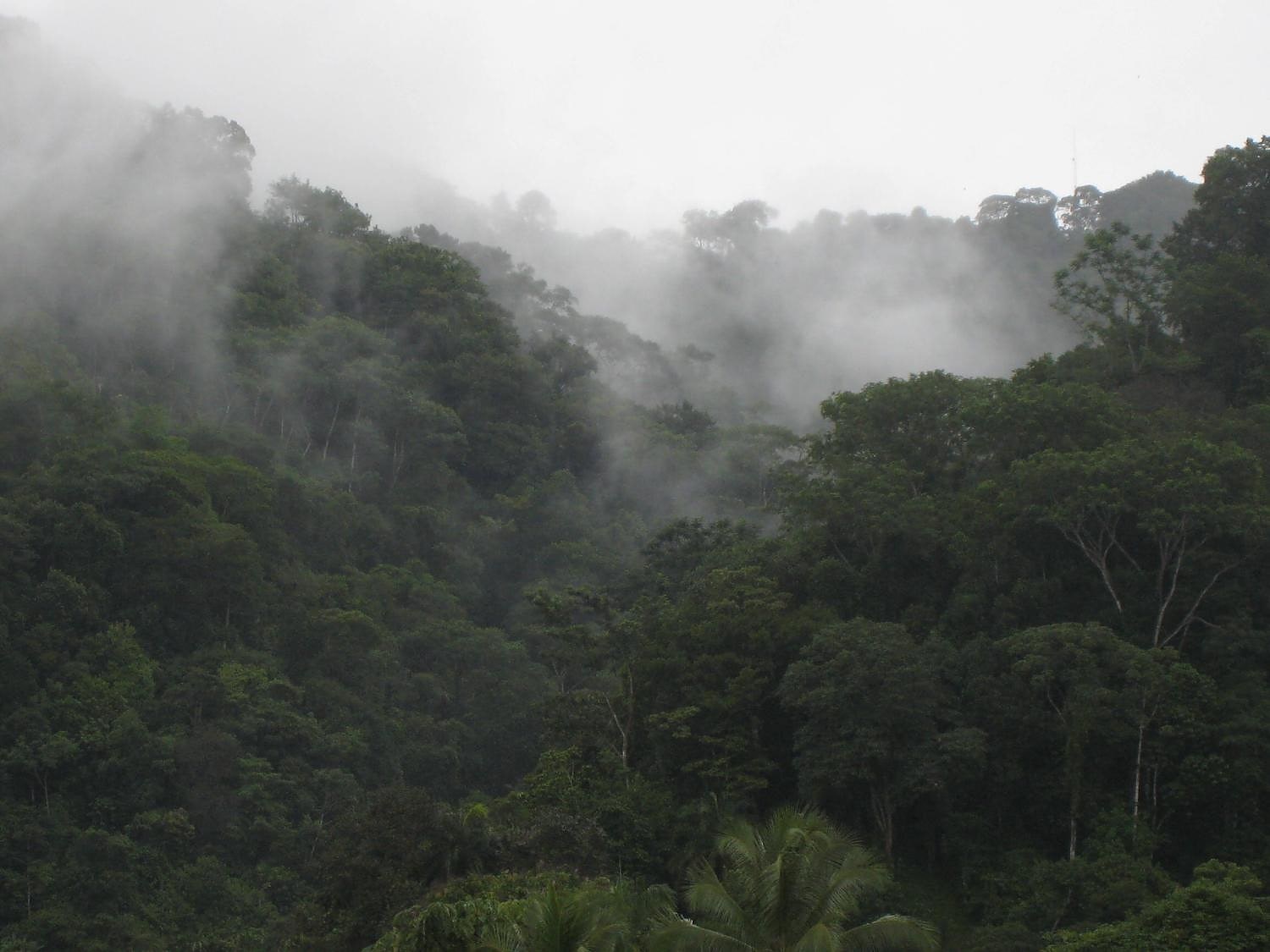 Piedras Blancas National Park, Costa Rica