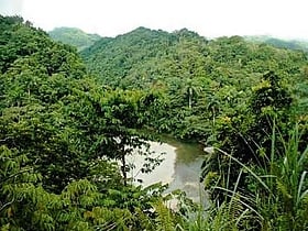 park narodowy alejandro de humboldt