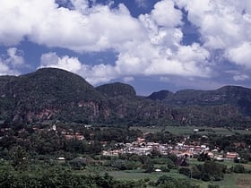 vinales