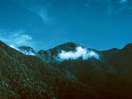 sierra maestra park narodowy turquino