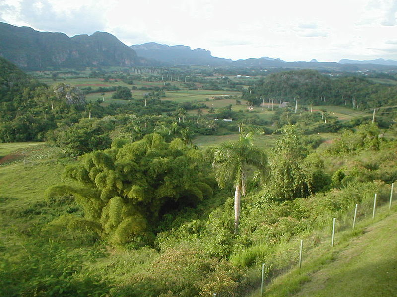 Vallée de Viñales