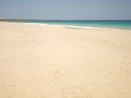 praia de santa monica isla de boa vista