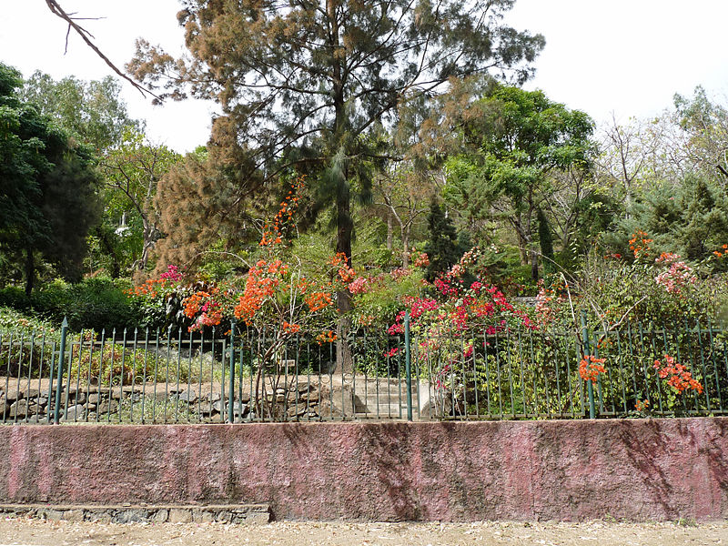 Jardín botánico de Cabo Verde