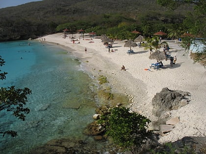 grote knip curacao