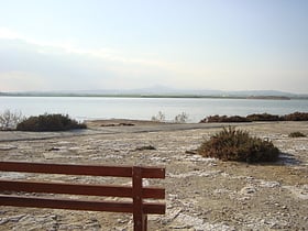 Lago salado de Lárnaca