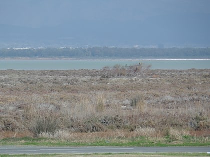 limassol salt lake akrotiri und dekelia