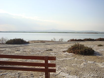 larnaca salt lake larnaka