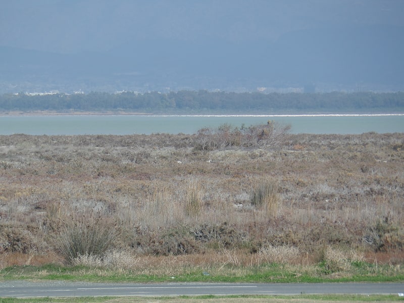 limassol salt lake akrotiri and dhekelia