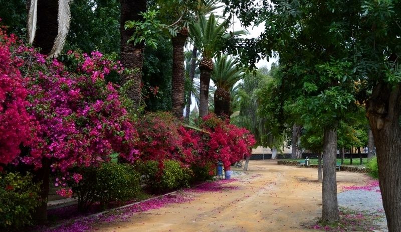Nicosia municipal gardens