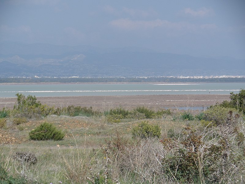 Limassol Salt Lake