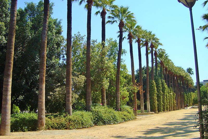 Nicosia municipal gardens