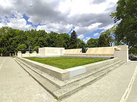 Monument to the fallen for Těšín Silesia