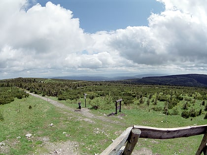 Wielka Desztna