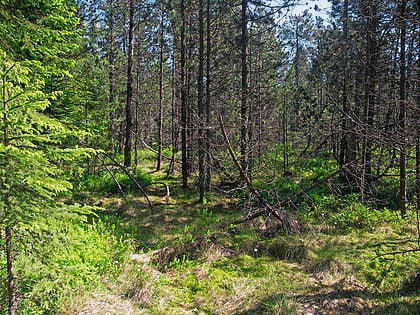 Rezerwat Przyrody Podkovák