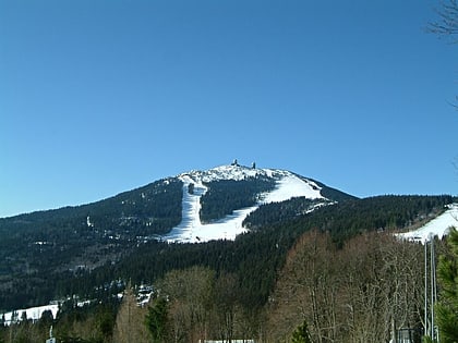 selva de bohemia parque nacional sumava