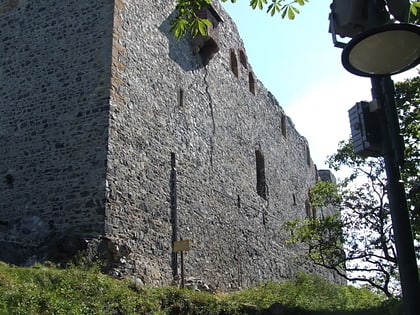 Castillo de Radyně