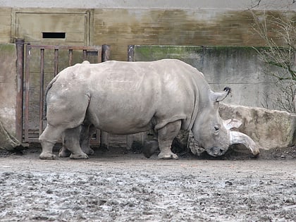 Zoológico de Dvůr Králové