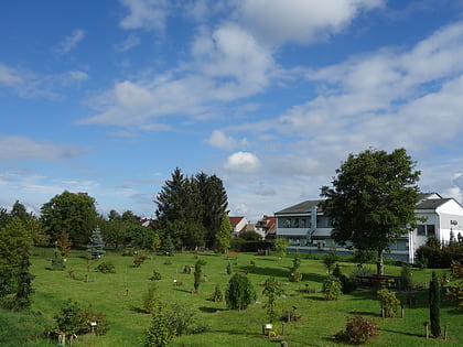 arboretum vrahovice