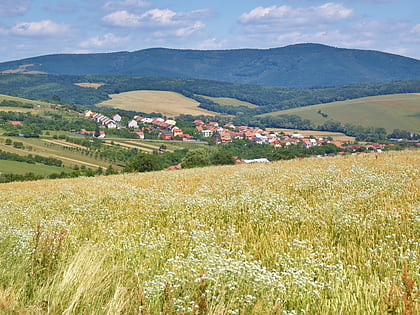 Velký Lopeník