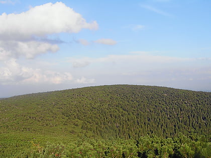czarna kopa karkonoski park narodowy