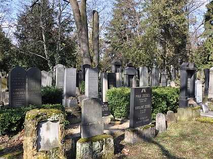 cmentarz zydowski brno