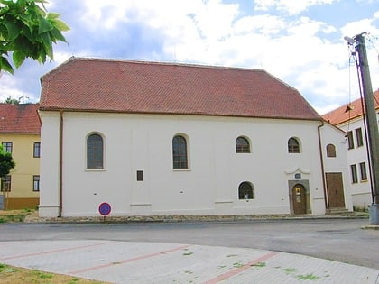 dolni kounice synagogue