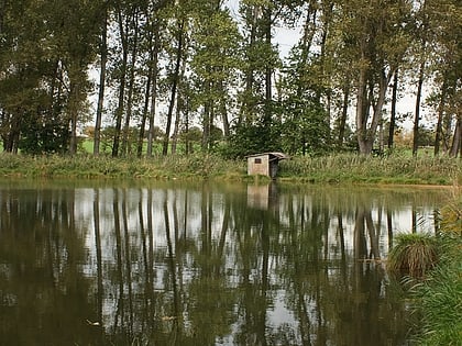 hostivicke ponds