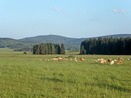 Český les Protected Landscape Area