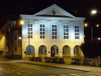 Schlesische Universität Opava