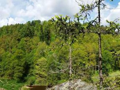 Bechyňská Via ferrata