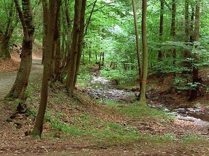 npr vuznice area paisajistica protegida de krivoklatsko