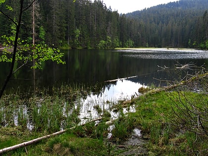 lake laka parque nacional sumava