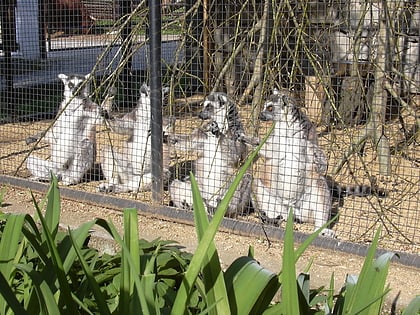 vyskov zoo